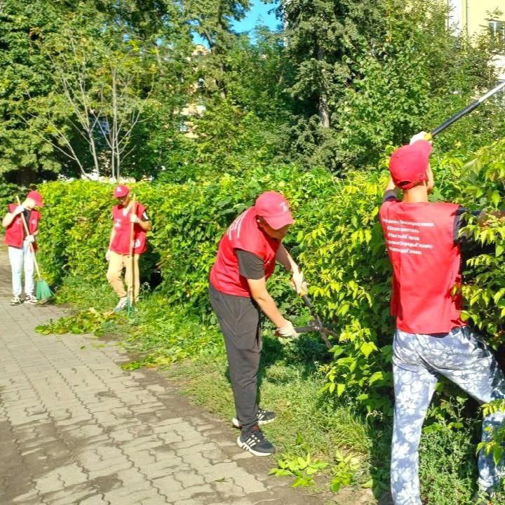 трудовые отряды главы электросталь